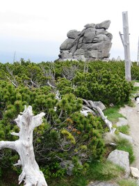 a za chvíli jsme na Poledním kole