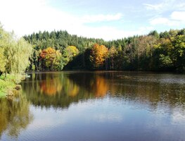 jak s malým, tak i s velkým Č