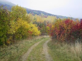 a tady už z něj sestupujeme (nahoře byla zase mlha)