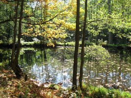 a barevné listí nám šustí pod nohama