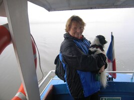 či spíše z mlhy do mlhy