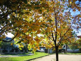 Kampak vyrazíme příště? Nasledanou!