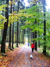 Helena působí chvílemi jako psovodka
