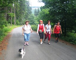 a ubíhá to i po silnici