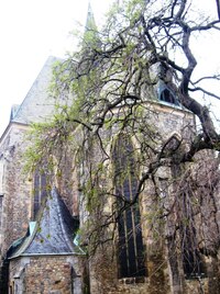 a vedle ní arciděkanský chrám