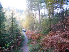 a barvy začínajícího podzimu