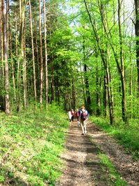 Vida, jak se rozjasnilo!