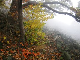 Přešli jsme skalnatý vrch Plešivec