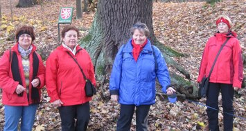 a u památného dubu