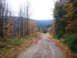 Vyrážíme směrem k Olešnici v Orlických horách