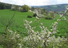 Výhledy jsou daleké