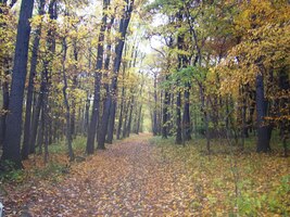 Stoupáme na vrch Lovoš