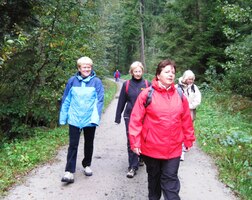 do třeboňských lesů