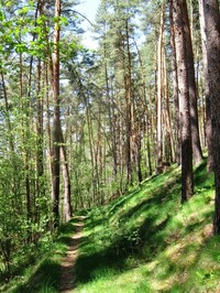 a podél potoka Hadovka