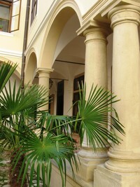 vyzdobenými exotickou flórou