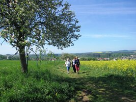 vpřed směrem Broumovské stěny