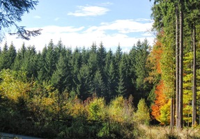 kde se prý rodí třeštské děti