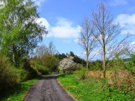 a vede odtud krásná cesta do polí,