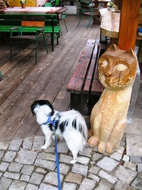 a tak jsme rychle utekli do restaurace