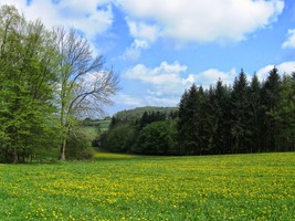 která ale záhy začne stoupat do lesů