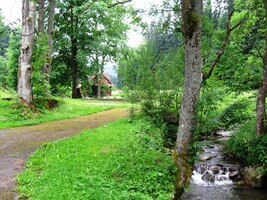 Jdeme dále podél potoka