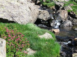 (pózující nad potokem),