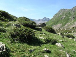 Je to tu jako v Krakonošově zahrádce