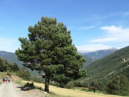 a dále dolů ve směru La Massana