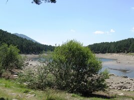 Je trochu vypuštěné,