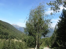 až k potoku u Cortals de Sispony