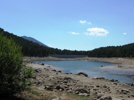 kolem je plno borových lesů