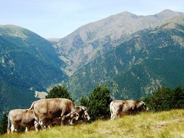 k sympatickému setkání (Buenos dias! Bůůů!)