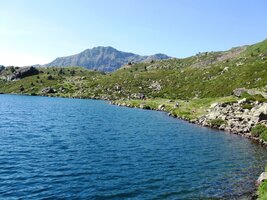 Tohle je to první, nad kterým je plno horského kvítí