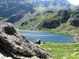 Tady jsou šmolkové,