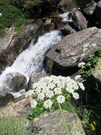 Údolí Val d´Inclés je plné květů a vody