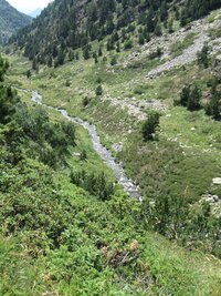 Jdeme dolů (potůček se k nám přidal)