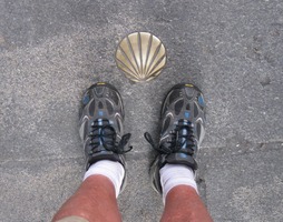 Sbohem, má směrová mušličko!