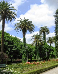 jsou rozlehlé a barevné