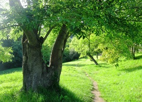 Tato magická cesta oba kostelíky spojuje
