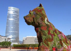 a vypěstovali nového maxipsa