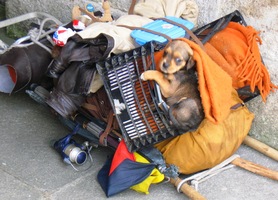 s neobvyklým spolucestujícím