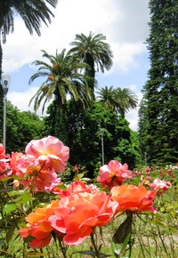 Parky Alameda a Susana