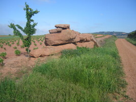 a charakteristická červenozem je tu všudypřítomná