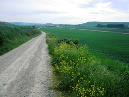 Cesta běží jako o život a za chvíli jste v Beloradu