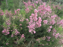 strmou horskou cestou