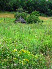 a při cestě ke kolibě Sorožka se schylovalo k bouřce