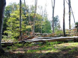 Někde byl průchod obtížný,