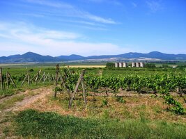 do mírně zvlněných Zemplínských vrchů