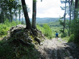 hlubokými lesy Slovenského Rudohoří
