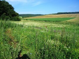 Tady už ale moje fotodokumentace končí. Až příště...